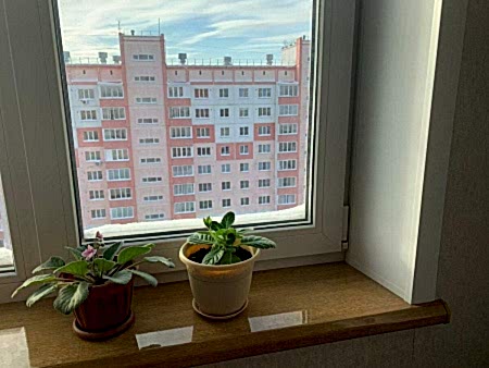 Подоконник Danke, дерево